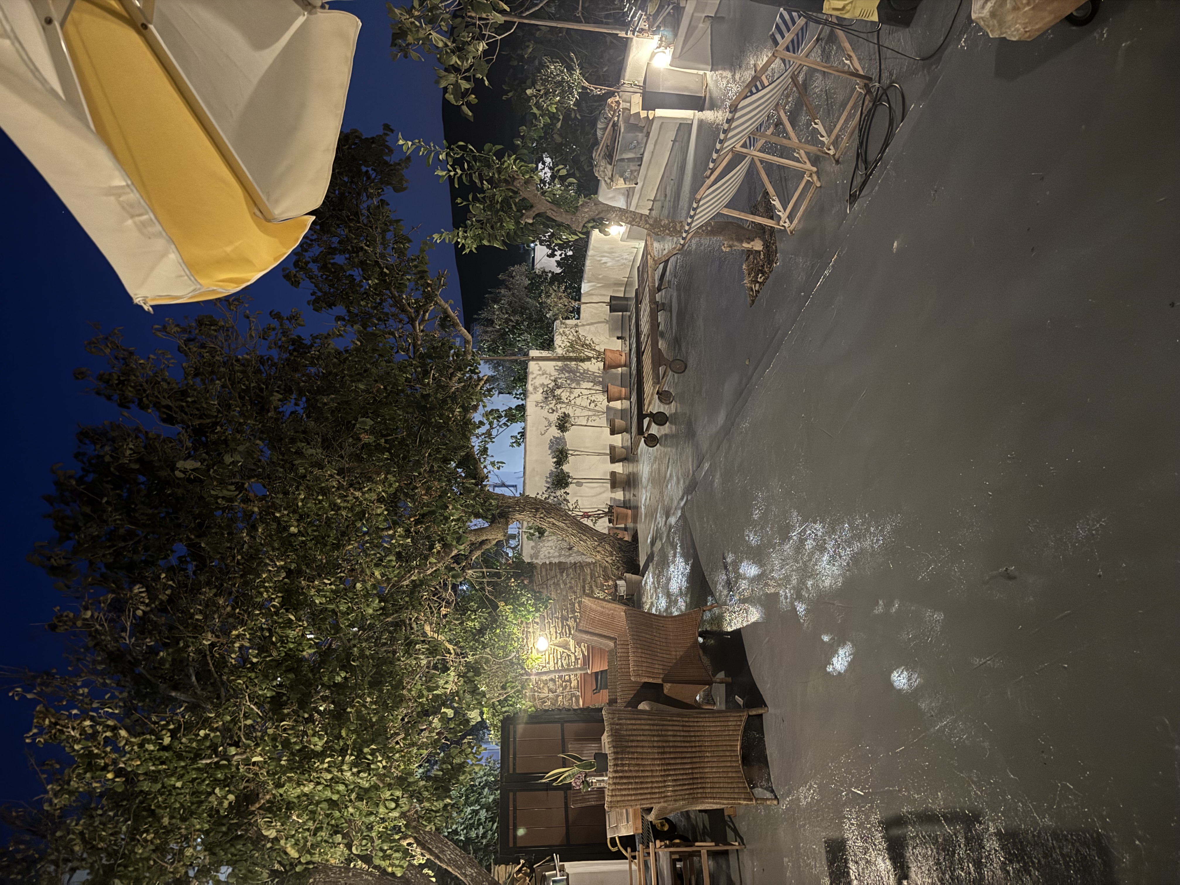 Communal Garden at Night